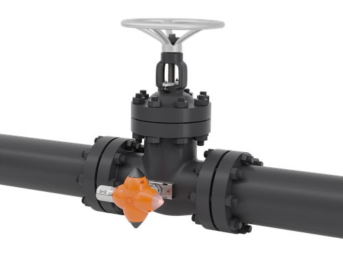 BIRD Wireless Leak Monitor